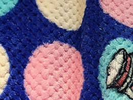菠萝格珊瑚绒毛毯